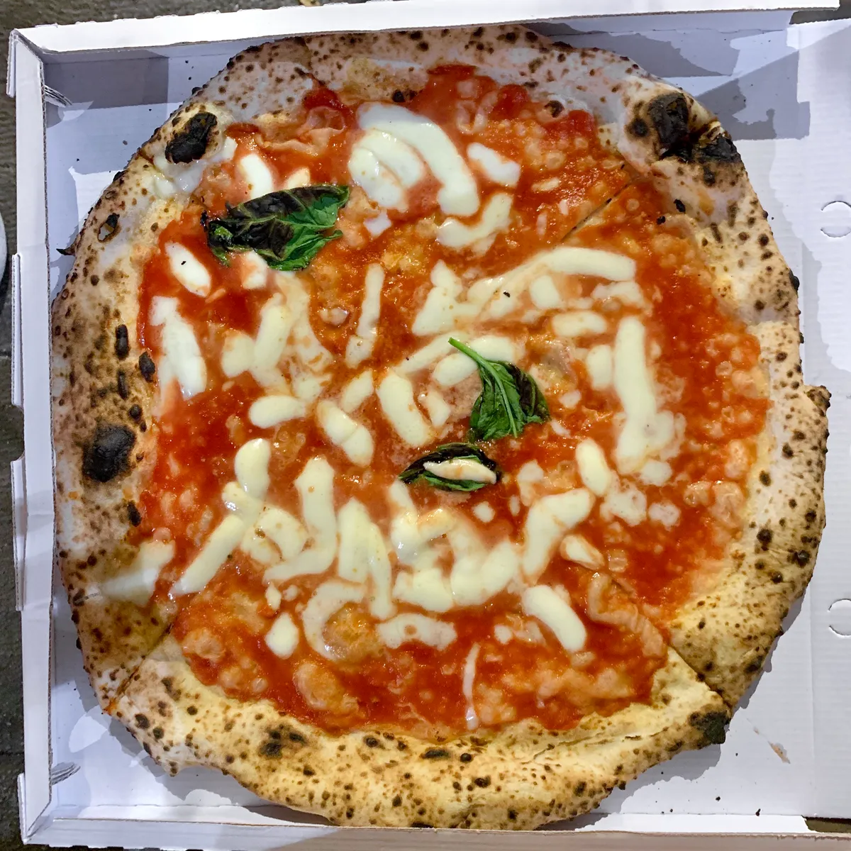 L’Antica Pizzeria Da Michele Bologna, photo 8