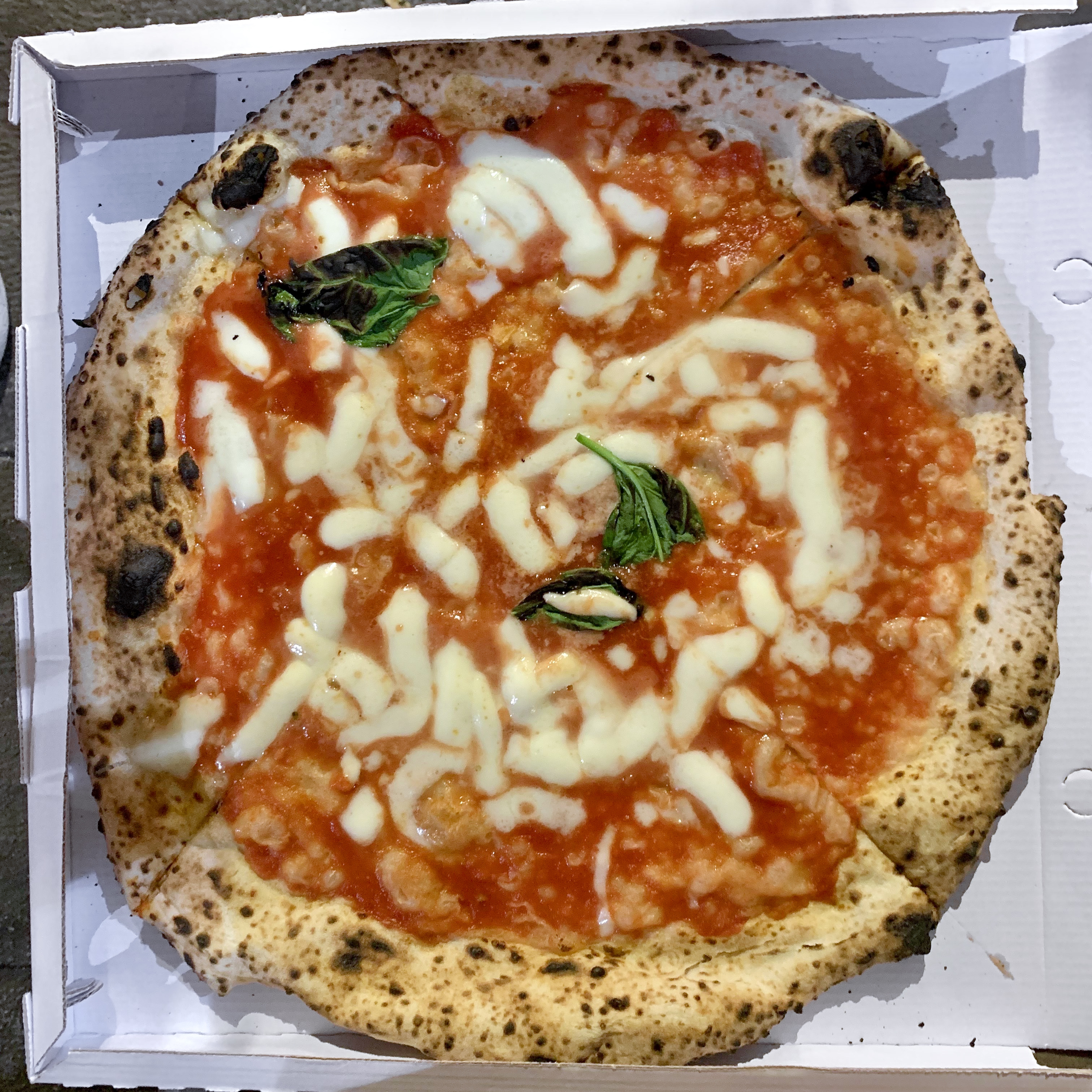 L’Antica Pizzeria Da Michele Bologna, photo 8
