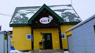 ZiZi