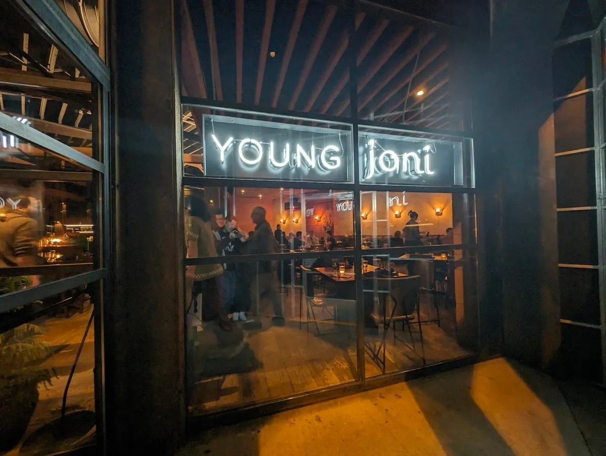 Young Joni, photo 1
