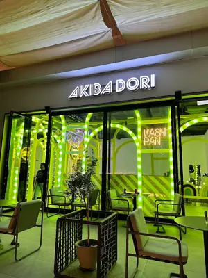 Akiba Dori
