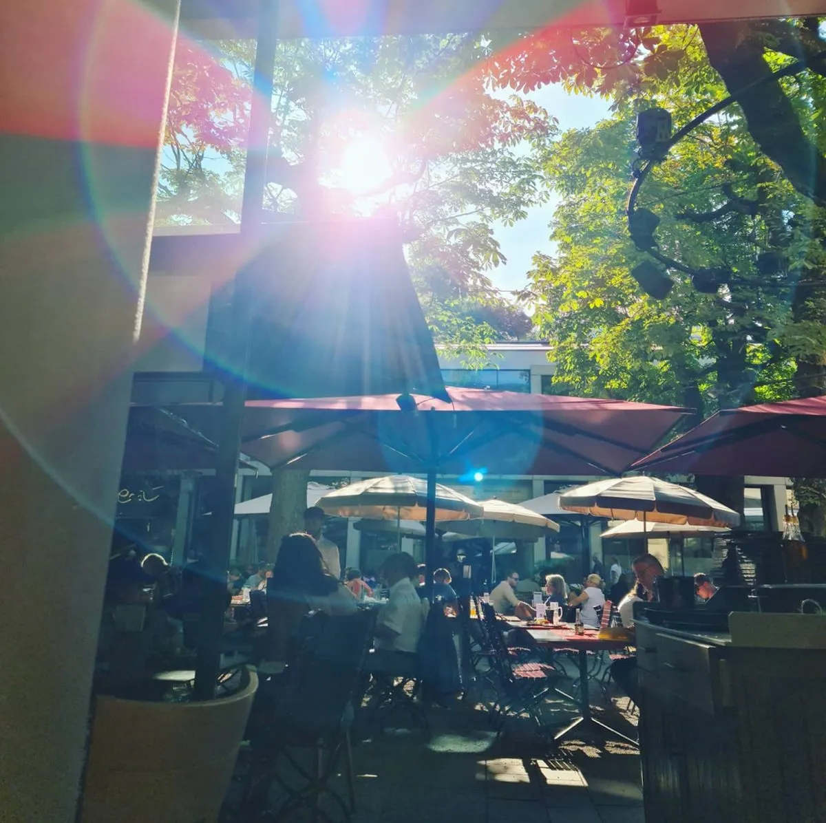Trattoria La Stella, photo 4