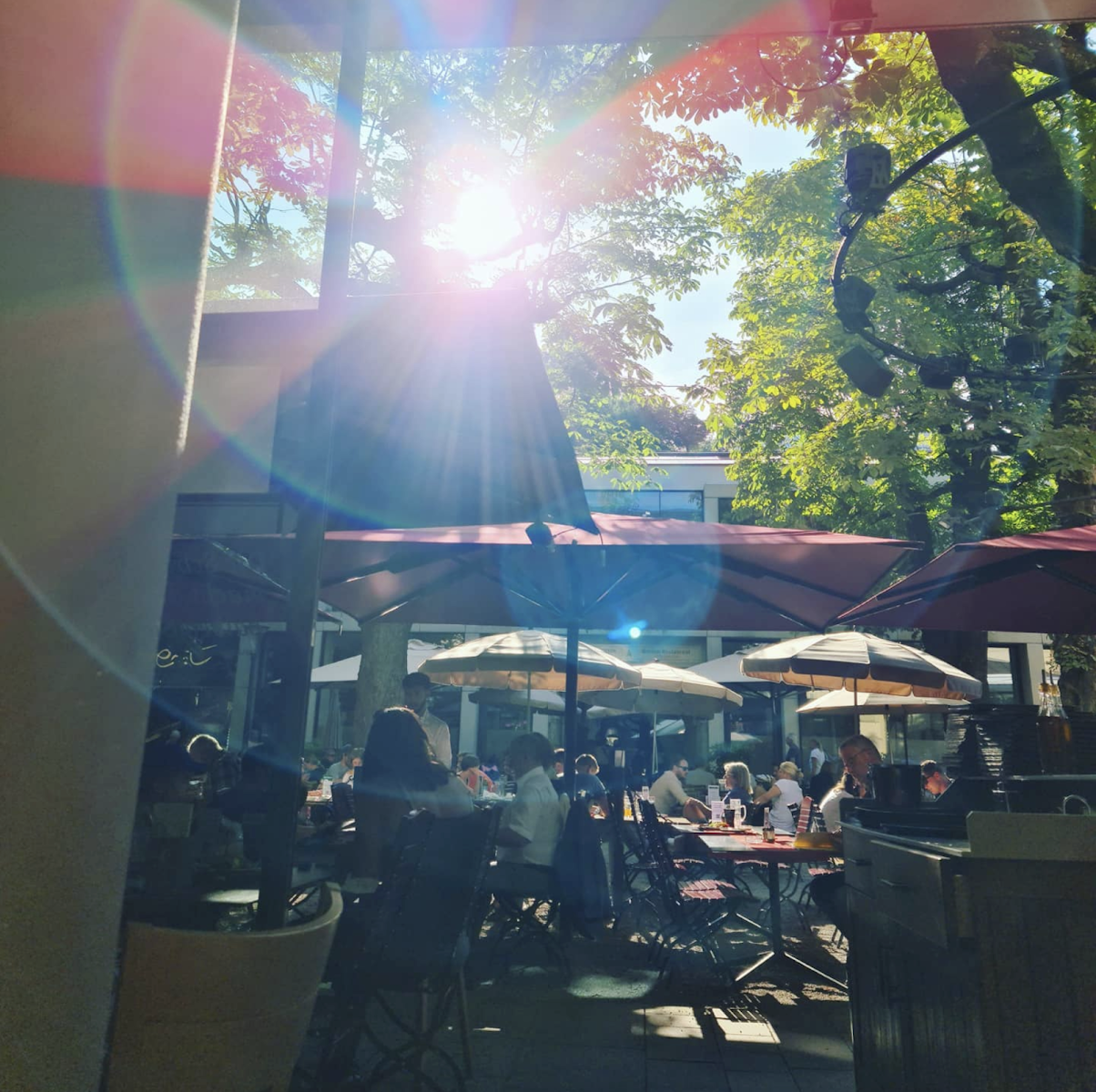 Trattoria La Stella, photo 4