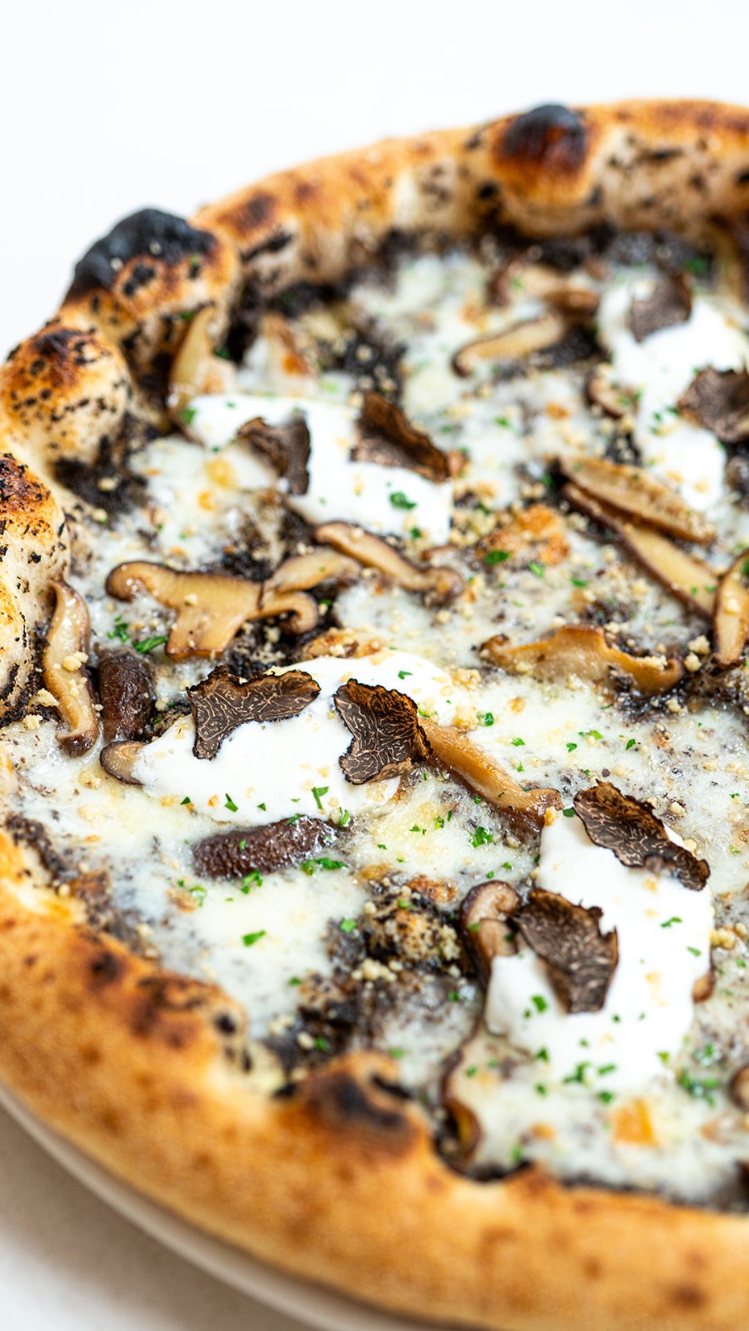 Ricca Pizzeria, photo 2