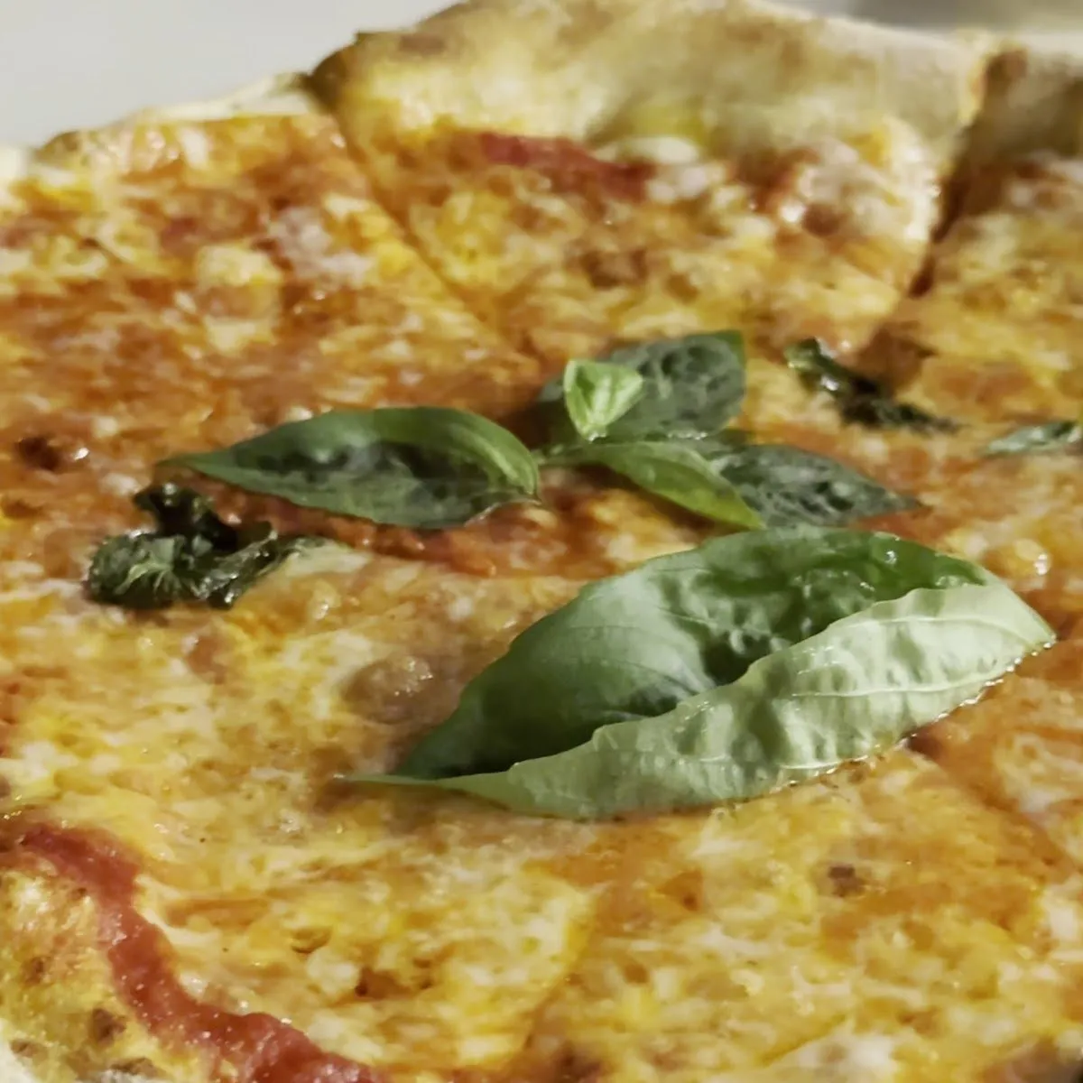Pizzeria La Rosita, photo 2