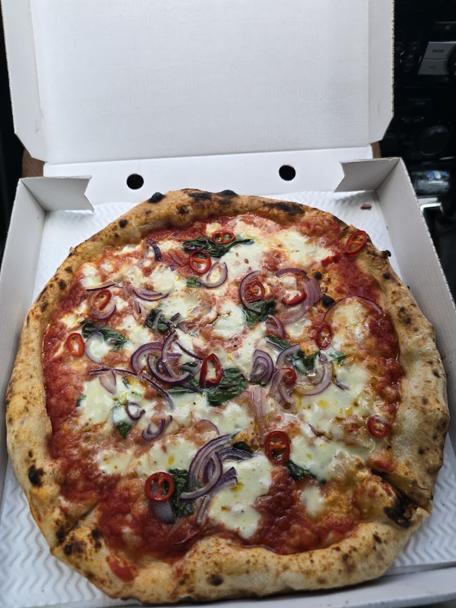 Peddling Pizza
