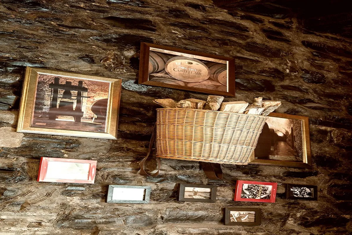 Camoscio D'oro, photo 5