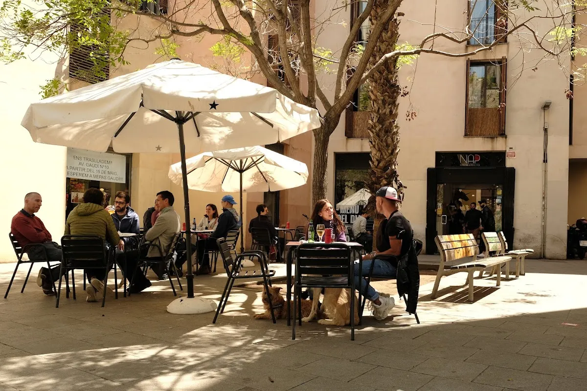 NAP Antic, photo 8