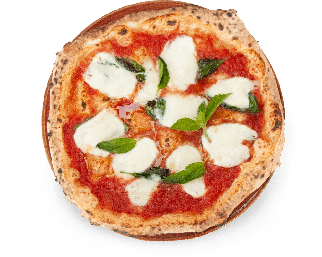 Pizza Culture Napoletana, photo 11