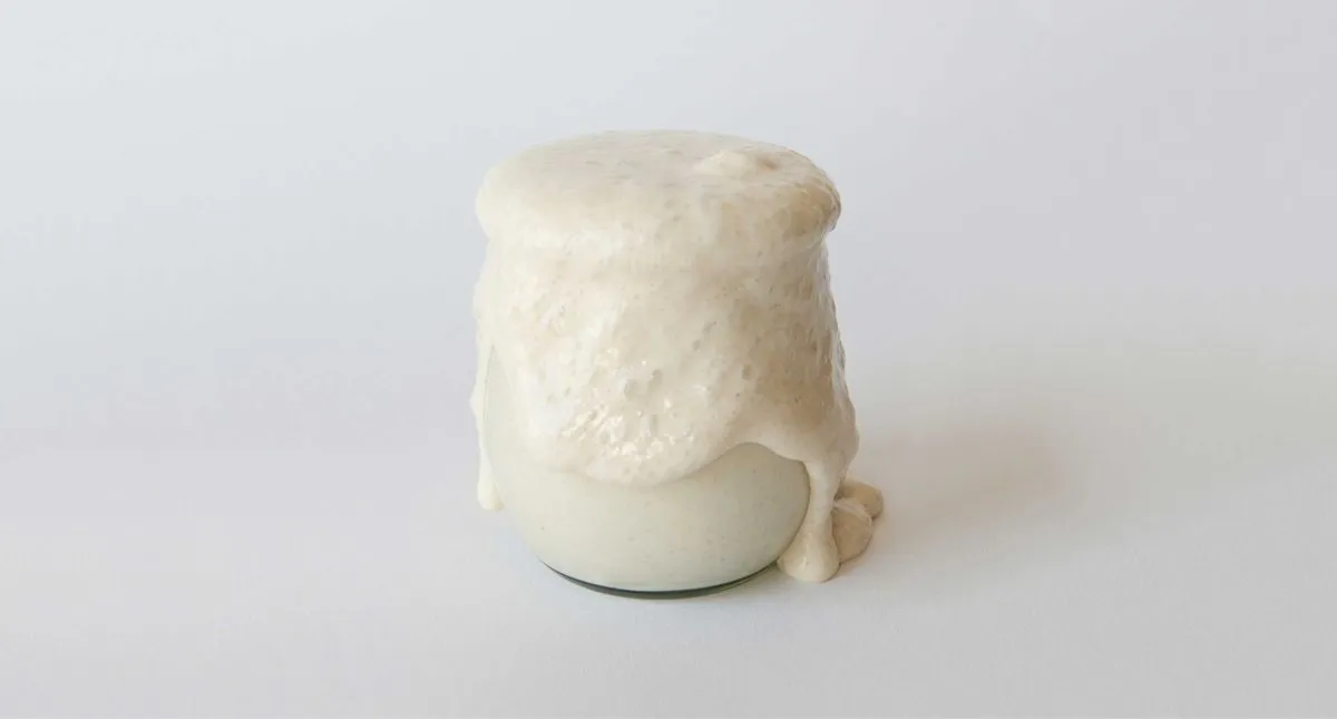 ALBA Sourdough Pizza, photo 4