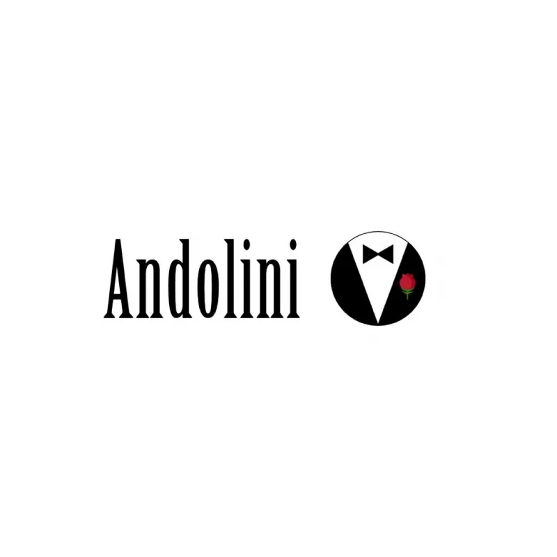 Andolini Pizzeria, photo 6