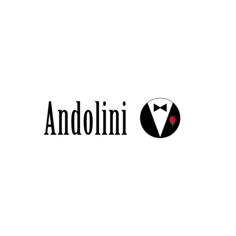 Andolini Pizzeria, photo 6