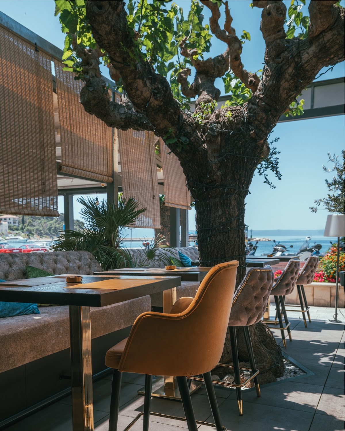 Basta Gourmet Bar, photo 6