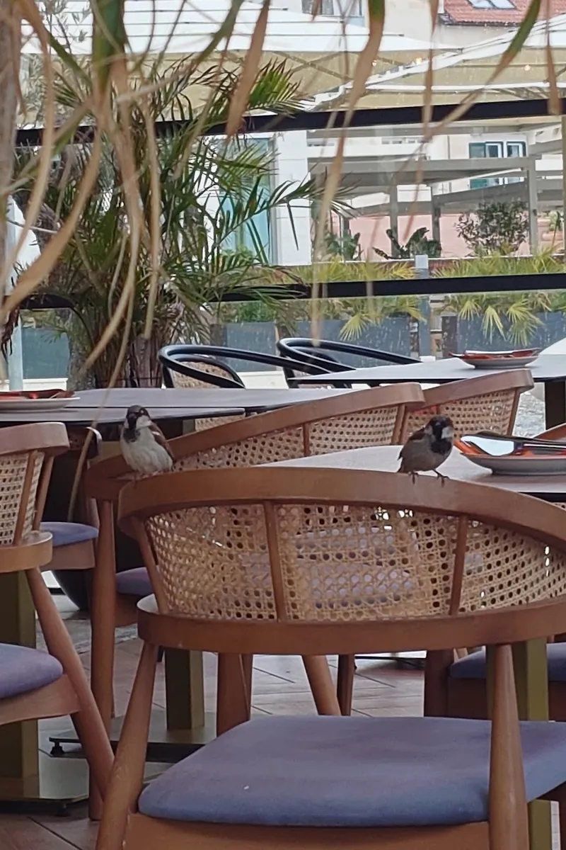 Basta Gourmet Bar, photo 9