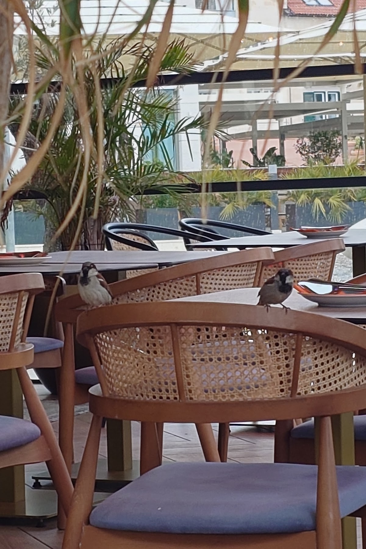 Basta Gourmet Bar, photo 9
