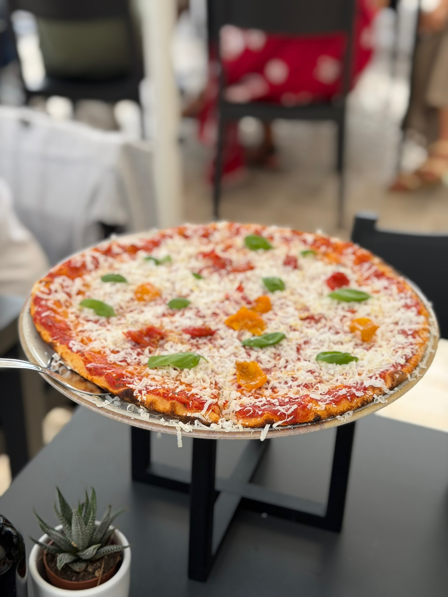 Sintesi – Pizza e Cucina Autentica, photo 11
