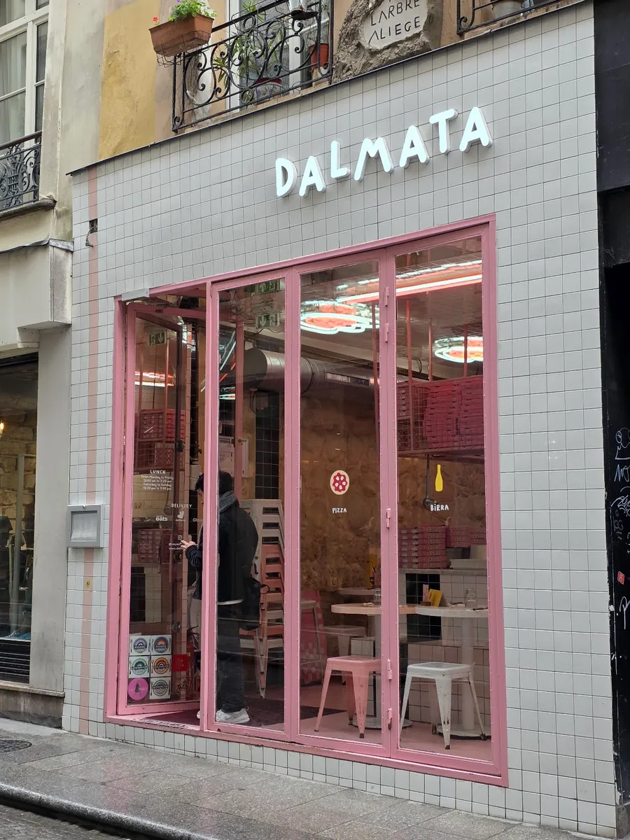 Dalmata, photo 5