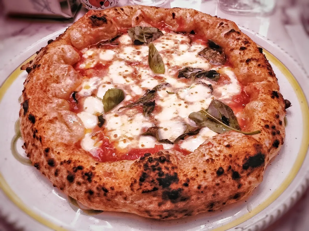 Dalmata, photo 6