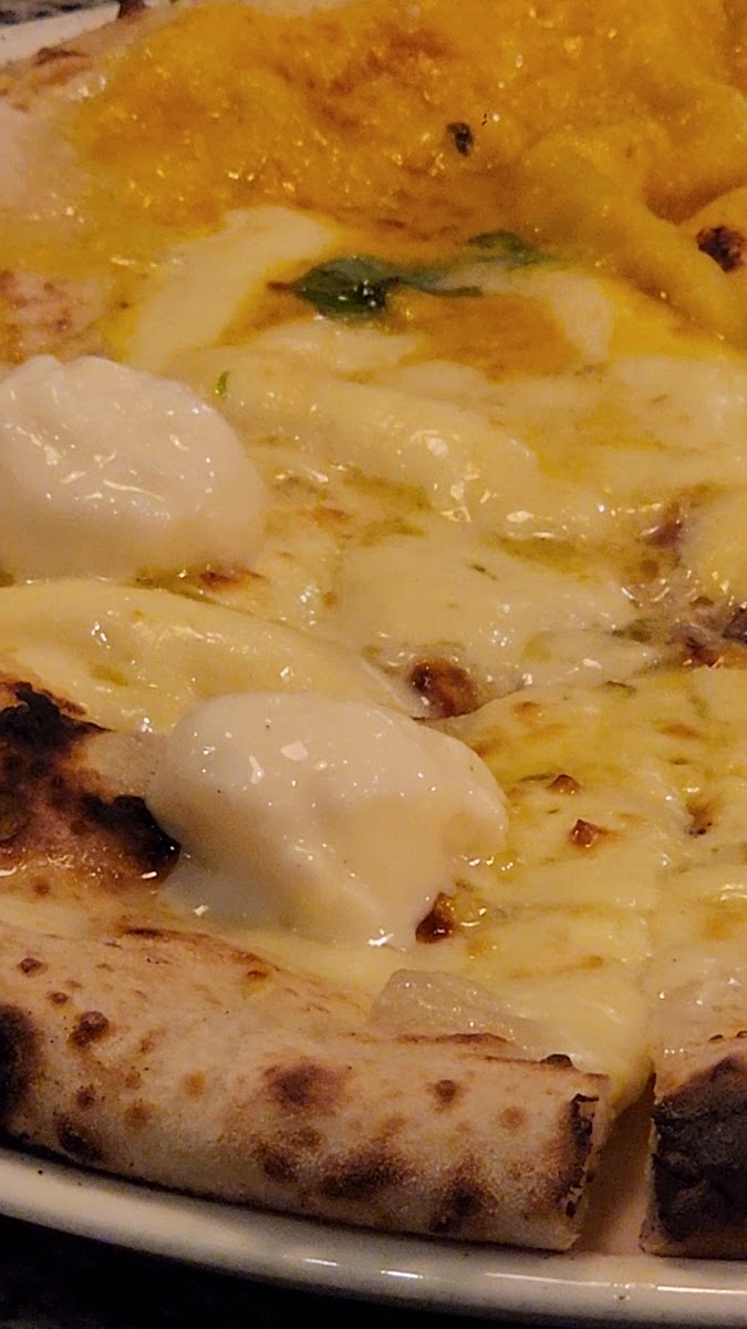 Michele pizza e amore, photo 2