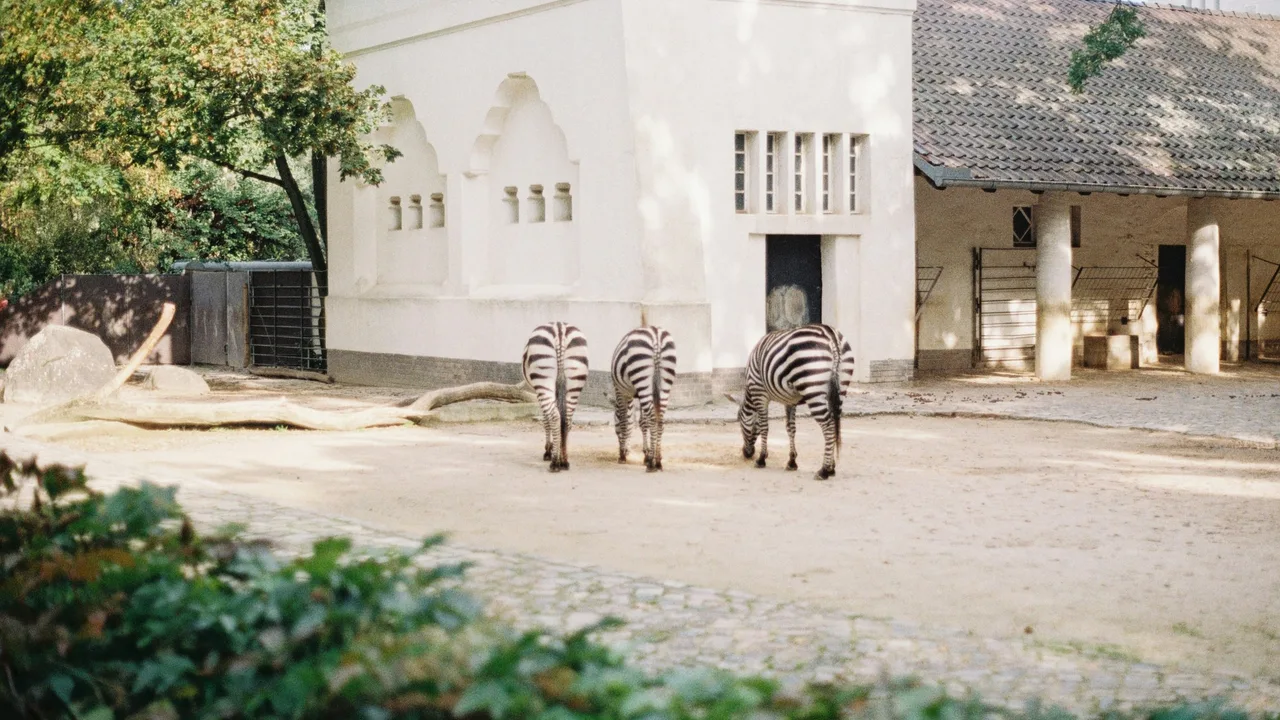 Berlin Zoological Garden